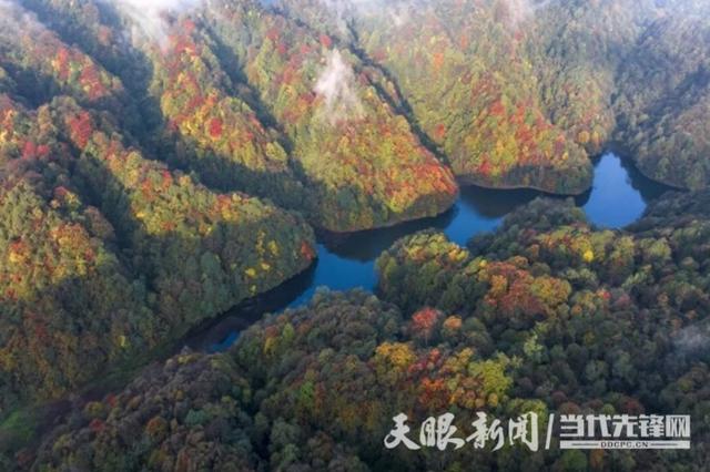 天眼影像丨看层林尽染 在宽阔水邂逅最美深秋