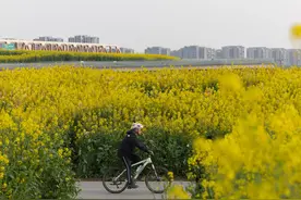 神州大地春光好(2)图片