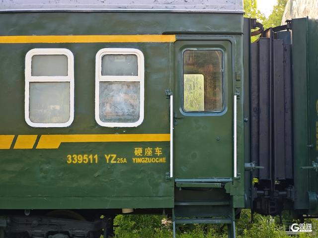 青岛百果山森林公园东方红火车：盛夏的复古列车