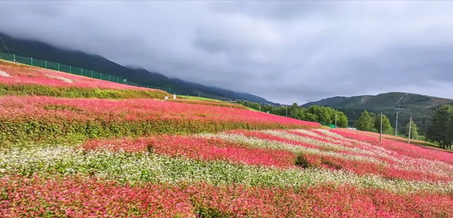 【跟着火把节游凉山】在凉山，遇见人生“彩虹”