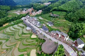 叙永：“土特产”托起乡村振兴“金饭碗”图片