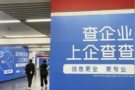IPO观察丨企查查冲击资本市场，商业查询是门好生意吗图片