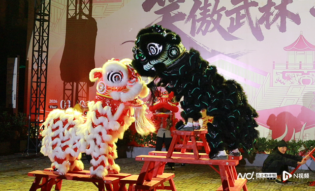 文旅融合新实践！全国首个功夫宗师主题动态庙会亮相南风古灶