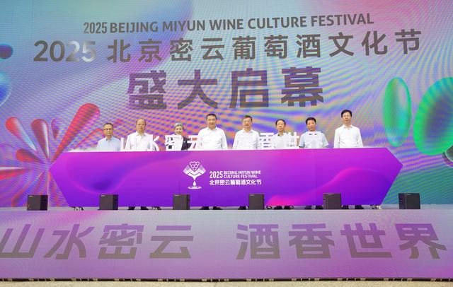 本周六密云将进入葡萄采摘季