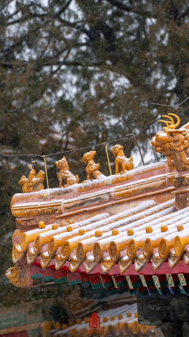 你等的故宫“雪景大片”，来了