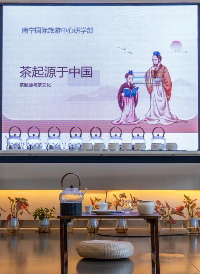 收获满满，精彩继续！南宁国际旅游中心“百堂公益课”免费开放，持续火热报名！