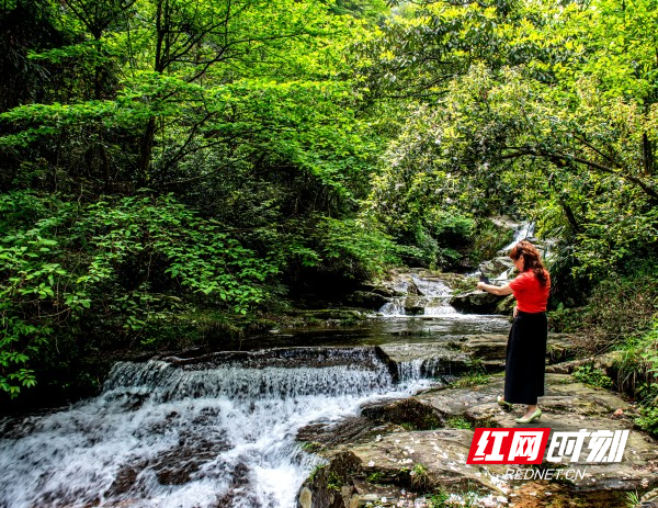 娄底避暑好去处｜热浪退散！奉噶山“自带制冷”，夏天盖被睡觉不夸张