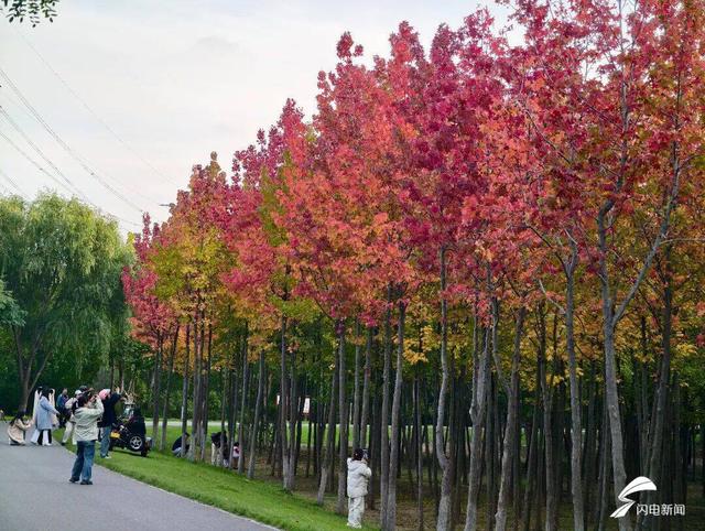 潍坊经济开发区：一场与色彩的浪漫邂逅