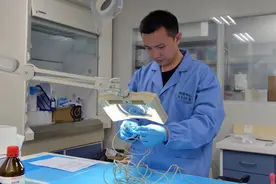 奋勇争先实干家｜生物物证“解码人”杨帆：物证在，希望就在图片