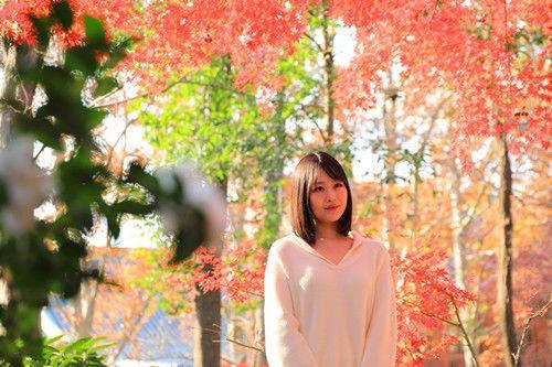 南京中山植物园红枫美到窒息