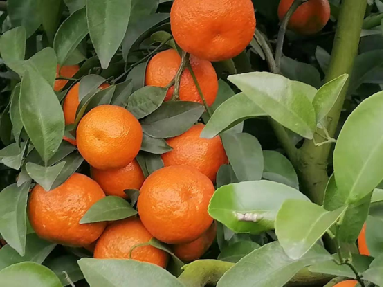 永川“留娃”去处上新→