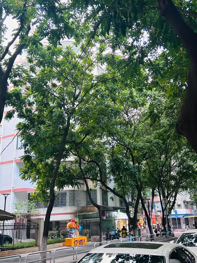 一座低调好玩的城市，花100块就能逛吃一整天！