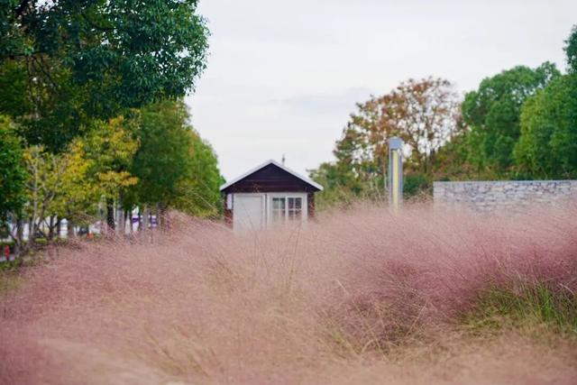 音乐公园、滨河步道……长宁这条有点小众的赏秋路线，别错过了！