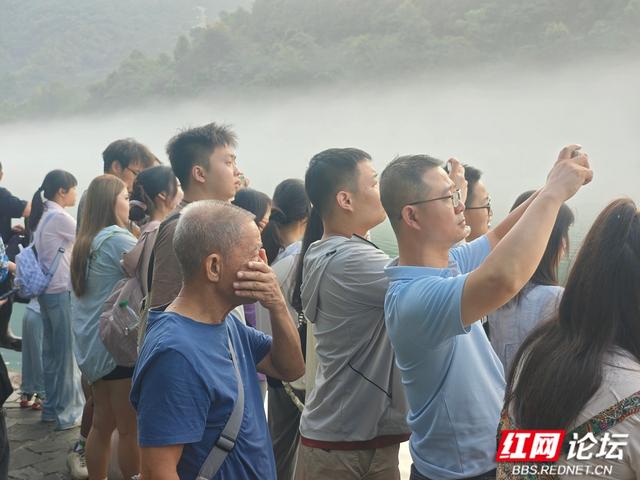 【每日一图@湖南】未醒的天，轻纱般的雾，温柔了整条资兴小东江