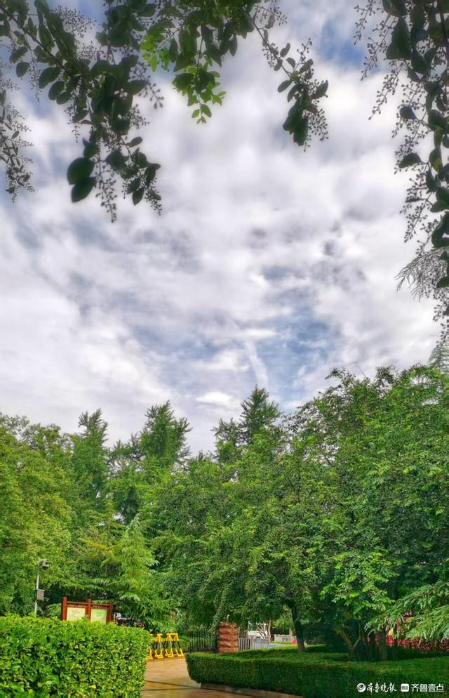 一夜雨后，英雄山风景区清新自然