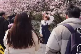 周末，这两个公园涌入13万人赏早樱！一年一度，各路“神仙”集结，有人在顾村公园“晒被子”？图片