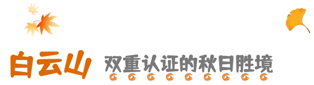 亮相央视！洛阳这些赏秋地，太美！