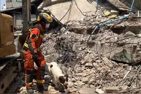 中国香港特区救援队在缅甸地震灾区通宵搜救图片