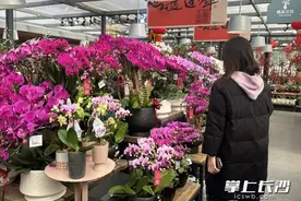 迎春接福年宵花，长沙人过年的仪式感来了图片