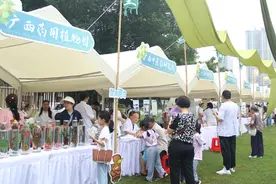 广西中医药文化市集活动圆满结束图片