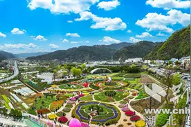 十堰市张湾区黄龙镇：以“花”为媒绘出新精彩图片
