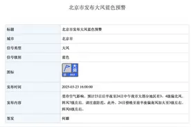北京有外来沙尘！关好窗图片