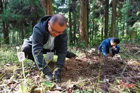 毕节：点“麻”成金 引领乡村振兴图片