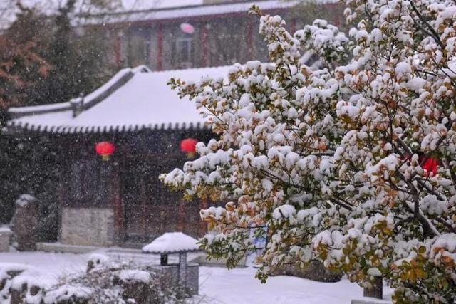 冬天，遇见不一样的潍坊！