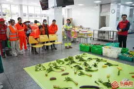 莆田市关爱最美巾帼“城市美容师”活动举行图片