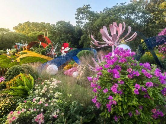 2025上海菊花展在共青森林公园举办 攻略请收好