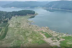 向“新”提质 为“产”聚力 新安县石寺镇集中连片激活乡村振兴新动能图片