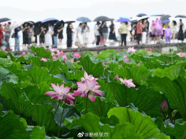 台风“竹节草”将给杭州带来较强降水