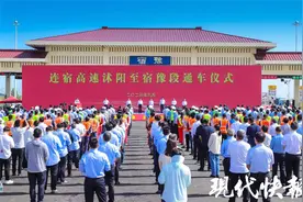 苏北再添快速新通道！连云港至宿迁高速公路沭阳至宿豫段通车图片