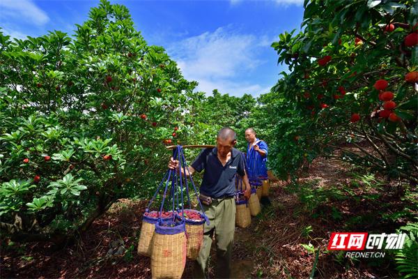 靖州，藏在山水间的“精神原乡”