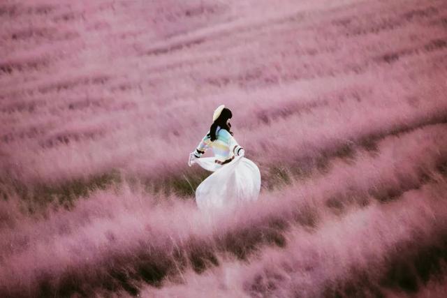 荆州赏秋地图｜不止中心城区！荆州县域秋景图鉴出炉，N个绝美点位等你来打卡！