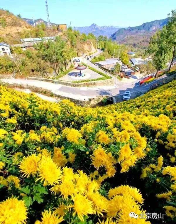 多彩京秋各区巡游 |房山区美翻了！秋日限定~