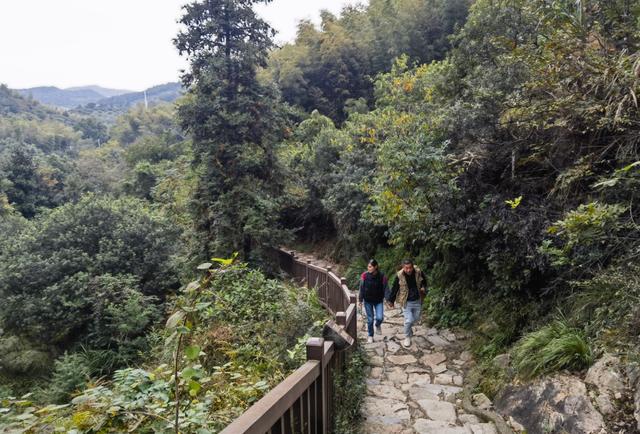 降温后爬山超舒服？专业应急救援队提醒：这些突发情况早知道早应对