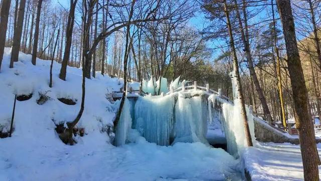 免费申领！白云山冰雪仙境邀您花式玩儿雪！