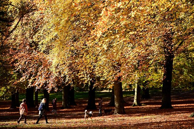 （外代一线）秋日欧洲
