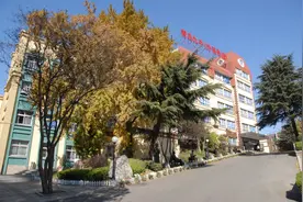 青岛九中新增礼贤校区，开启普高新格局图片