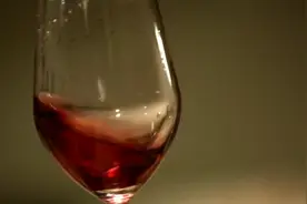 全球连线｜外宾眼中的宁夏葡萄酒：一杯佳酿何以引领产业繁荣图片