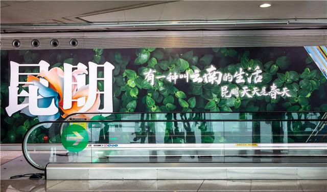 网友点赞昆明街头文案：一座被文化浸透了的城市