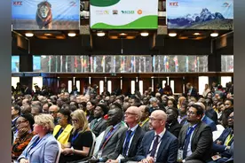 （国际）非洲国家呼吁加大对非支持以应对气候变化图片