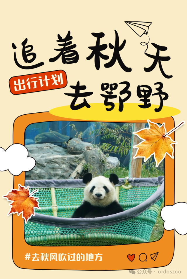 10月27日！鄂野自驾开启，解锁秋日野趣新玩法！