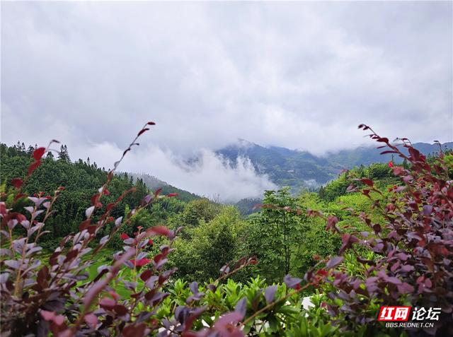 何必去远方？在桂东，我遇见23℃的夏天