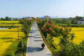 爱在深秋图片