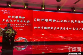2024年广西柳州螺蛳粉全产业链销售收入预计超750亿元图片