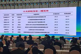 历经七年南繁北育丨“全国十大好吃玉米”两个出自咱哈尔滨图片