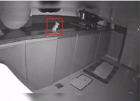 山东移动筑牢数智化餐饮安全防线