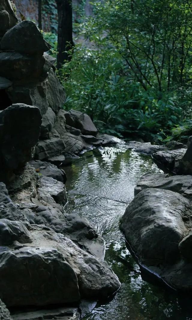 天呐，洛阳的这份「反差感」，绝了！